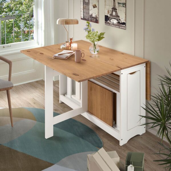 Set Mesa + 4 Sillas Plegables - Imagen 5