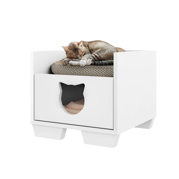 Cajon gato - Imagen 2